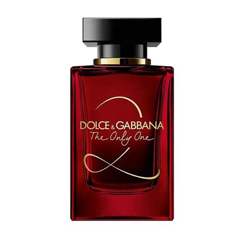 the only one 2 dolce gabbana idealo